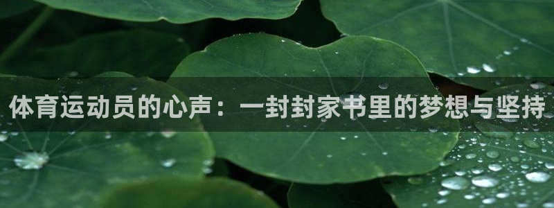 蓝鲸体育安卓版下载：体育运动员的心声：一封封家书里的梦想与坚持