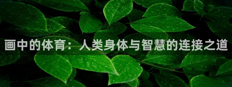 nba蓝鲸体育