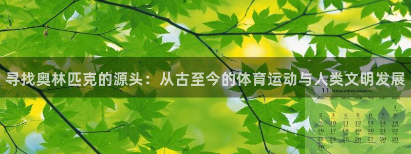 蓝鲸体育官网下载