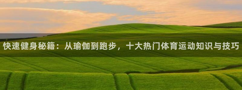 蓝鲸体育和海星对比：快速健身秘籍：从瑜伽到跑步，十大热门体育运动知识与技巧