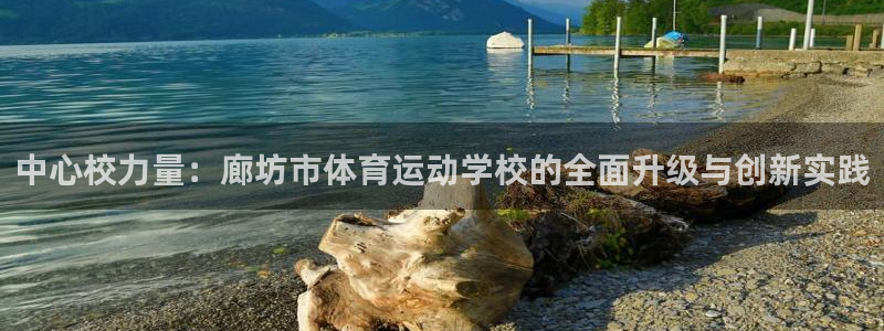 蓝鲸体育旧版下载