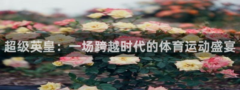 蓝鲸体育可馨